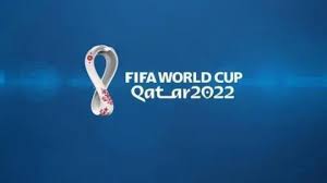 2022卡塔尔世界杯_电视猫