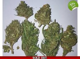 While there are no sweeping global regulations of cbd flower, the compound is legal in europe so long as it does not contain more than 0.2% thc. 50 Gram Premium Hemp Buds Low Thc High Cbd Cannabis Sativa L