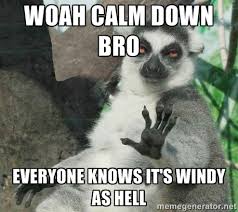 Woah calm down bro Everyone knows it&#39;s windy as hell - Not Today ... via Relatably.com