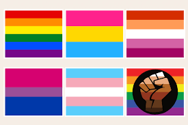 24 lgbtq pride flags color meanings