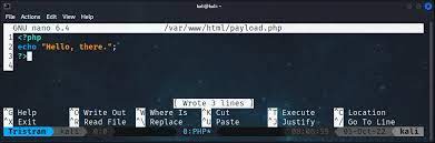 sed payloads from kali linux pt