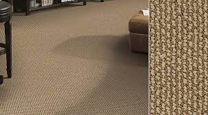 constant beauty loop carpet by shaw