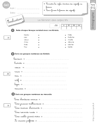 Ce2 Evaluation Feminin Adjectifs | PDF | Genre grammatical | Morphologie  linguistique