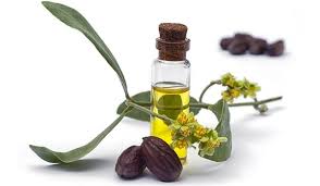 5 benefits of jojoba oil be beautiful