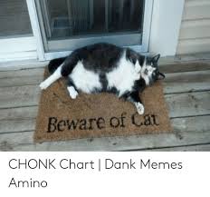 Beware Of Cat Chonk Chart Dank Memes Amino Dank Meme On