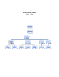 Non Profit Organizational Chart Example Free Download