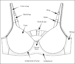 Anatomy Of A Bra Clovia