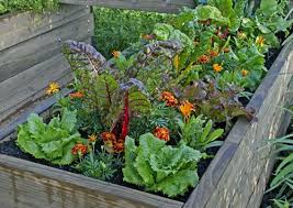 March Gardening Checklist For Southern