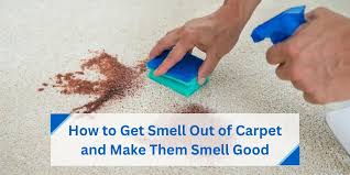 how to get smell out of carpet and make