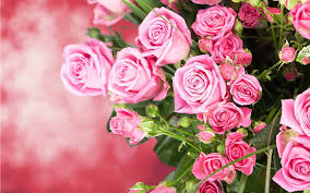 bouquet flowers rose pink roses