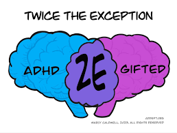 twice exceptional s with adhd