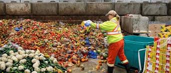 Image result for food waste