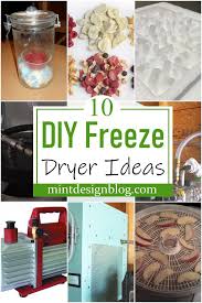 10 diy freeze dryer ideas mint design