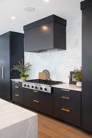 Maybe you would like to learn more about one of these? Black Kitchen Cabinets In Contemporary Home Contemporary Kitchen Austin By Paper Moon Painting Houzz Ie