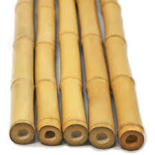 natural bamboo poles