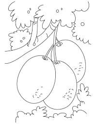 480x640 kiwi bird coloring page kiwi coloring pages thanksgiving preschool 474x612 new kiwi fruit coloring pages gallery printable coloring sheet Bunch Of Kiwi Fruit Coloring Pages Download Free Bunch Of Kiwi Fruit Coloring Pages For Fruit Coloring Pages Vegetable Coloring Pages Coloring Pages For Kids