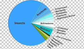 Pie Chart Insect Biology Species Diversity Png Clipart