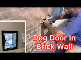Dog Door Installation In Nashville Tn