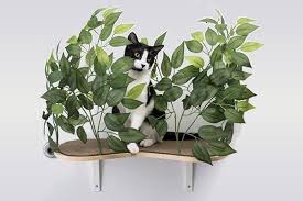Canopy Curved Cat Wall Shelves With