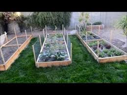 Raised Garden Beds Vegetable Garden