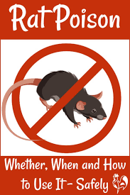 rat poison is it safe to use in your