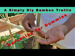 How To Build A Simple Bamboo Trellis