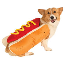 Us 7 97 45 Off Gomaomi Hot Dog Pet Dog Halloween Costume Clothes Mustard Cat Clothes Outfit For Small Medium Dog Please See The Size Chart In Cat