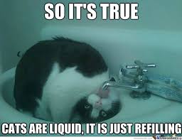 Cats Are Liquid by recyclebin - Meme Center via Relatably.com