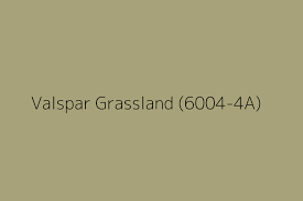 Valspar Grassland 6004 4a Color Hex Code
