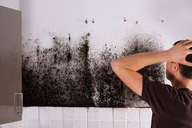 10 Common Causes Of Mold In Homes