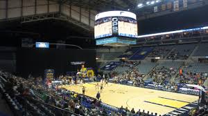 fort wayne mad ants