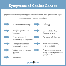 Cancer is defined as uncontrolled growth of abnormal cells, but the signs and symptoms vary greatly depending on the location and type. Canine Cancer Information For Dog Owners Puppy Tales