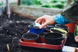 What Is Square Foot Gardening