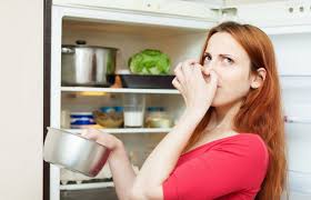 Preventing refrigerator smells and odors. How To Get Rid Of Fridge Odor Ecooe Life