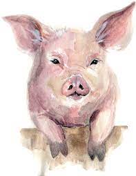 Watercolor Charlotte, the Pig -TD-Animals-Farm-9