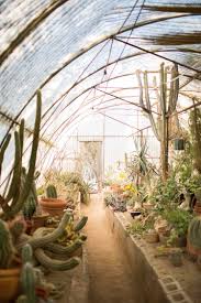 greenhouse at moorten botanical garden