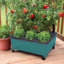 elevated bed raised garden beds