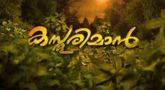 All latest tamil serials of vijay tv, zee tamil, colors tamil and sun tv's all episode video at tamiltvgo. Malayalam Serials Online Episodes Malayalamserials Profile Pinterest