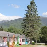 pet friendly hotels in white mountains