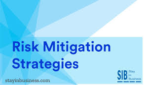 Risk Mitigation Strategies, examples, PDF, the common four, definition