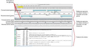 Introduction To Viewing Genomes With Artemis Medical