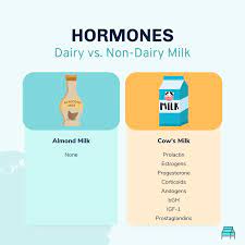 is almond milk good for hypothyroidism