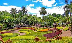 nong nooch tropical botanical garden