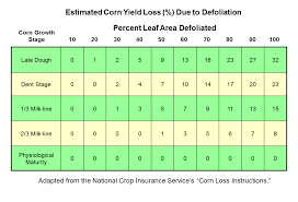 Yield Reduction From Late Season Corn Defoliation