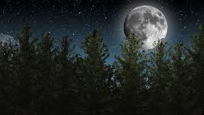 full moon night sky stars