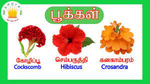 learn flower names in tamil and english