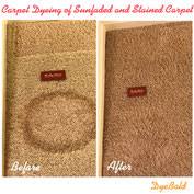 professional carpet dyeing services