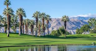 25 best things to do in palm desert