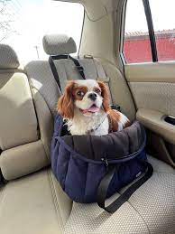 Buy Secure Dog Car Seat And Carrier Pet