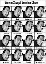Steven Seagal Emotion Chart Funny Pictures Steven Seagal
